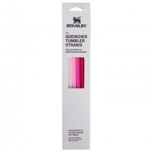 Stanley Replacement Straw 4 Pack | 30 oz Quencher Tumbler Pink | EZ3054716