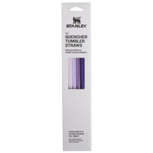 Stanley Replacement Straw 4 Pack | 30 oz Quencher Tumbler Purple | NE0893461