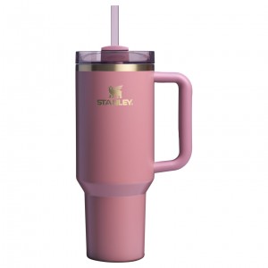 Stanley The Fall Refresh Quencher H2.O FlowState™ Tumbler I 40 OZ Antique Pink | KR6438957