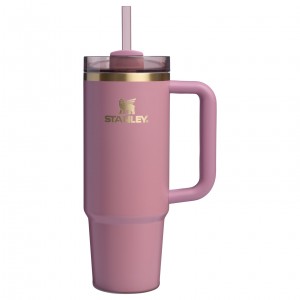 Stanley The Fall Refresh Quencher H2.O FlowState™ Tumbler I 30 OZ Antique Pink | ZO3162054