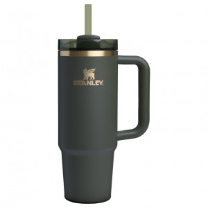 Stanley The Fall Refresh Quencher H2.O FlowState™ Tumbler I 30 OZ - Stanley Cr Cypress | TL2093651