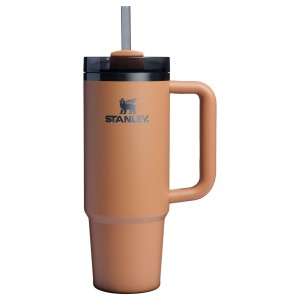 Stanley The Fall Refresh Quencher H2.O FlowState™ Tumbler I 30 OZ Camel | EW5840936