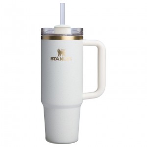 Stanley The Fall Refresh Quencher H2.O FlowState™ Tumbler I 30 OZ Cream Moon | VJ5063928