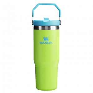 Stanley The Heat Wave IceFlow™ Flip Straw Tumbler | 30 OZ Bright Lime | PK6927043