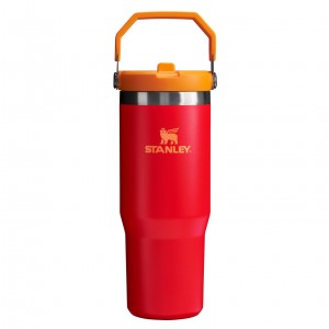 Stanley The Heat Wave IceFlow™ Flip Straw Tumbler | 30 OZ Chili | DR9657248