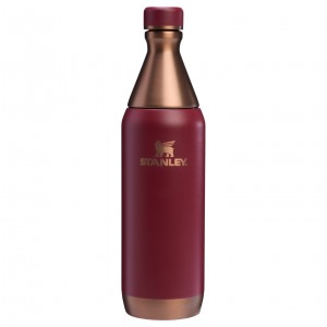 Stanley The Holiday All Day Slim Bottle | 20 OZ Gilded Pomegranate | OR5074238