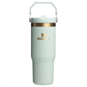 Stanley The Holiday IceFlow Flip Straw Tumbler | 30 OZ Gilded Celadon | TM6354708