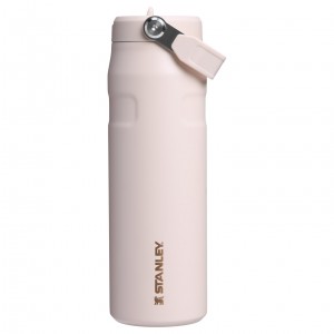 Stanley The Holiday IceFlow Water Bottle with Flip Straw Lid | 24 OZ Gilded Sugar | SG8037591