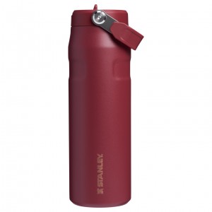 Stanley The Holiday IceFlow Water Bottle with Flip Straw Lid | 24 OZ Gilded Pomegranate | LH2159706