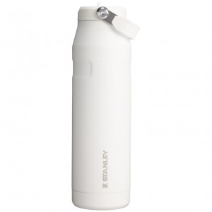 Stanley The IceFlow™ Bottle with Flip Straw Lid | 36 oz Frost | WR4786592