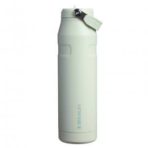 Stanley The IceFlow™ Bottle with Flip Straw Lid | 36 oz Mist | HJ1970423