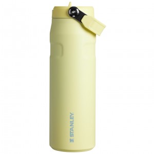 Stanley The IceFlow™ Bottle with Flip Straw Lid | 24 OZ Pomelo | BX5893241