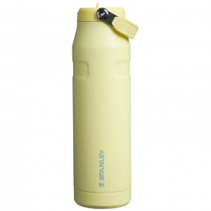 Stanley The IceFlow™ Bottle with Flip Straw Lid | 36 oz Pomelo | LW1358692