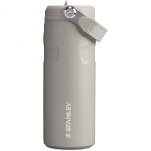 Stanley The IceFlow™ Bottle with Flip Straw Lid | 16 oz Ash | AH3456179