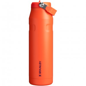 Stanley The IceFlow™ Bottle with Flip Straw Lid | 36 oz Tigerlily Plum | CH4630259