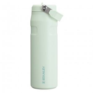 Stanley The IceFlow™ Bottle with Flip Straw Lid | 24 oz - Stanley Create Mist | OB8963514