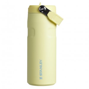 Stanley The IceFlow™ Bottle with Flip Straw Lid | 16 oz Pomelo | RV4137296