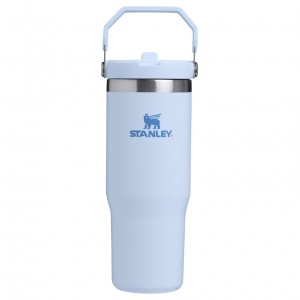 Stanley The IceFlow Flip Straw Tumbler | 30 OZ | Insulated Water Glacier | DG0321584