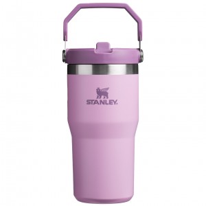 Stanley The IceFlow Flip Straw Tumbler | 20 OZ | Insulated Water Bottle Lilac | VQ9642175