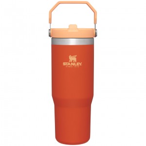 Stanley The IceFlow Flip Straw Tumbler | 30 OZ | Insulated Water Tigerlily | CL2754613