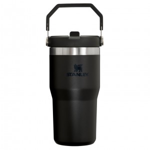 Stanley The IceFlow Flip Straw Tumbler | 20 OZ | Insulated Water Bottle Black 2.0 | FD7815649