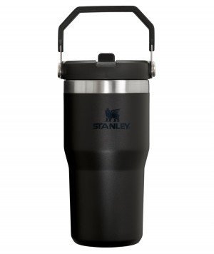 Stanley The IceFlow Flip Straw Tumbler | 20 OZ | Insulated Water Tumbler | Sta Black 2.0 | JF6987532