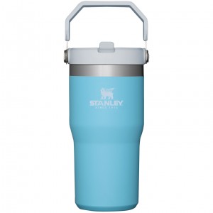 Stanley The IceFlow Flip Straw Tumbler | 20 OZ | Insulated Water Tumbler | Sta Pool | QO1308927