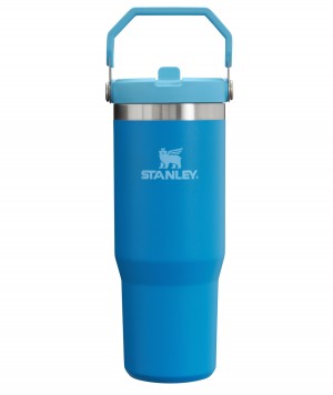 Stanley The IceFlow Flip Straw Tumbler | 30 OZ | Insulated Water Azure | DI3526019