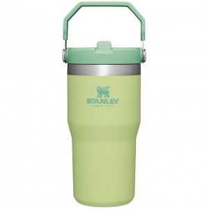 Stanley The IceFlow Flip Straw Tumbler | 20 OZ | Insulated Water Bottle Citron | WM7615428