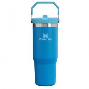 Stanley The IceFlow Flip Straw Tumbler | 30 OZ | Insulated Water Azure | FI5427130