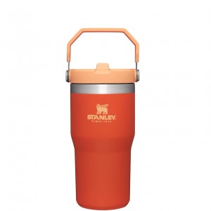 Stanley The IceFlow Flip Straw Tumbler | 20 OZ | Insulated Water Bottle Tigerlily | QK8371249