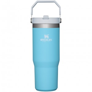 Stanley The IceFlow Flip Straw Tumbler | 30 OZ | Insulated Water Pool | OZ6912847