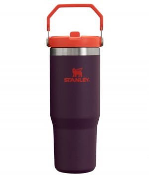 Stanley The IceFlow Flip Straw Tumbler | 30 OZ | Insulated Water Plum | OZ8674219