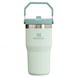 Stanley The IceFlow Flip Straw Tumbler | 20 OZ | Insulated Water Bottle Mist | BN1957802