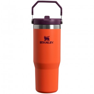 Stanley The IceFlow Flip Straw Tumbler | 30 OZ | Insulated Water Tigerlily Plum | KH2765190