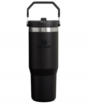 Stanley The IceFlow Flip Straw Tumbler | 30 OZ | Insulated Water Black 2.0 | MB8623705