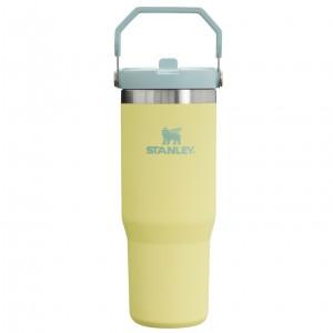 Stanley The IceFlow Flip Straw Tumbler | 30 OZ | Insulated Water Pomelo | FL1253478