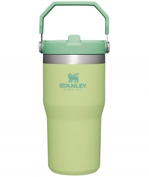 Stanley The IceFlow Flip Straw Tumbler | 20 OZ | Insulated Water Tumbler | Sta Citron | KV8523014