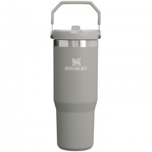 Stanley The IceFlow Flip Straw Tumbler | 30 OZ | Insulated Water Ash | DC4851629