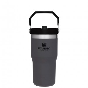 Stanley The IceFlow Flip Straw Tumbler | 20 OZ | Insulated Water Bottle Charcoal | QS2945168