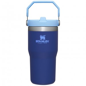 Stanley The IceFlow Flip Straw Tumbler | 20 OZ | Insulated Water Tumbler | Sta Lapis | OY6012495