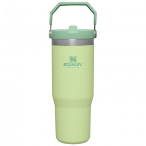 Stanley The IceFlow Flip Straw Tumbler | 30 OZ | Insulated Water Citron | YO4015798