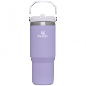 Stanley The IceFlow Flip Straw Tumbler | 30 OZ | Insulated Water Lavender | BH1783042