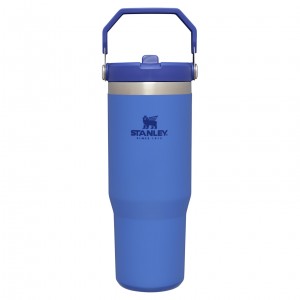 Stanley The IceFlow Flip Straw Tumbler | 30 OZ | Insulated Water Iris | MK1372659