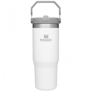 Stanley The IceFlow Flip Straw Tumbler | 30 OZ | Insulated Water Polar | OC4261850