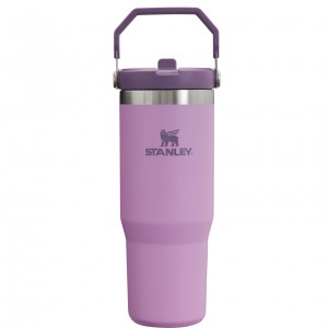 Stanley The IceFlow Flip Straw Tumbler | 30 OZ | Insulated Water Lilac | UH5042798