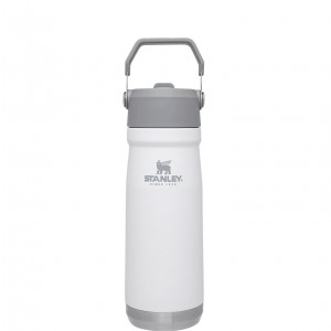 Stanley The IceFlow Flip Straw Water Bottle | 22 OZ | Insulated Bottle | Stanl Polar | ZN1326407