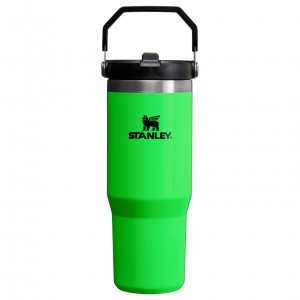 Stanley The Neon IceFlow™ Flip Straw Tumbler | 30 OZ Neon Green | VR6903175