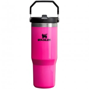 Stanley The Neon IceFlow™ Flip Straw Tumbler | 30 OZ Electric Pink | AW1206547