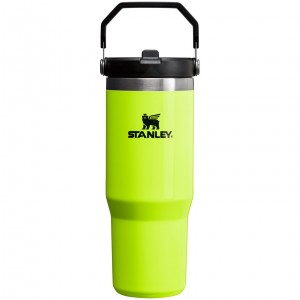 Stanley The Neon IceFlow™ Flip Straw Tumbler | 30 OZ Neon Yellow | FK6840912